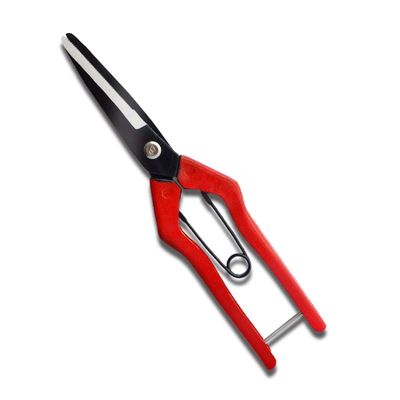 Mua SINSEUNG SB201 Mái kéo cắt nhựa nhỏ 115g sản xuất trực tuyến