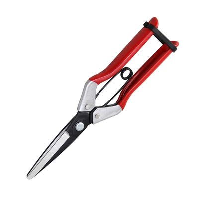 SINSEUNG X1 Hardware Scissors Chiếc kéo hành tây Spring And Ambidextrous