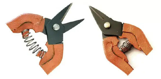 tên