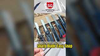 VIDEO 260114-1 SINSEUNG